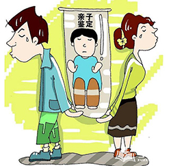 安徽个人亲子鉴定如何做，隐私亲子鉴定结果需要多久